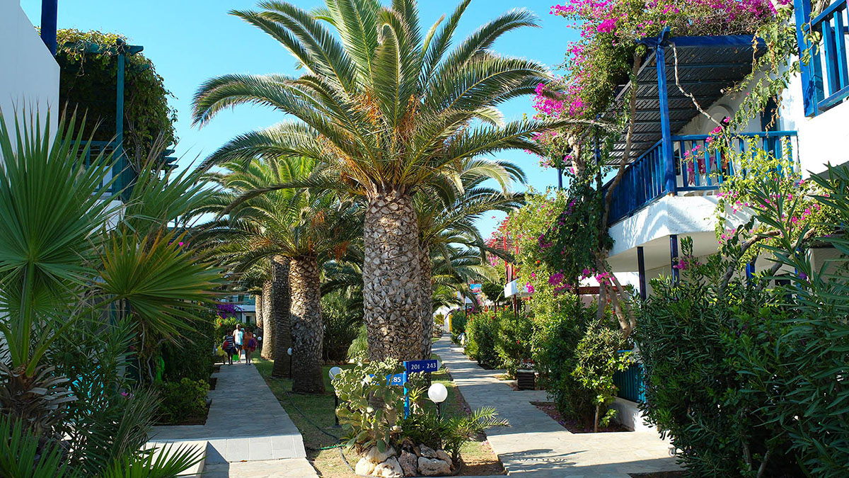 Stella Village Hotel & Bungalows